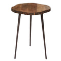 Mango Wood Accent Table - Brown - Roche River Decor - 21 W x 21 L x 25 H